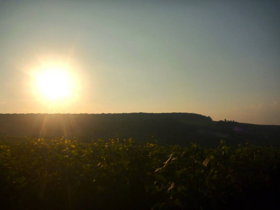 Sint-Martinus den XIIde - Kamp Curfoz JIN 2013